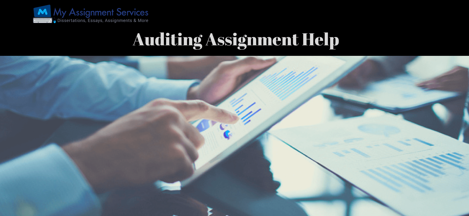 auditing assignment help through guided sessionser
