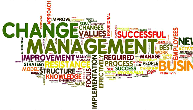 Change Management Assignment Help 
