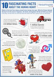 Facts About Human Heart