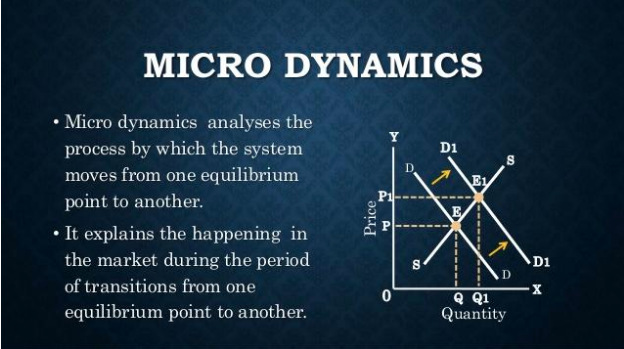 Micro Dynamics