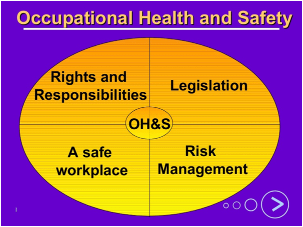 Occupational Health & Safety law assignment help