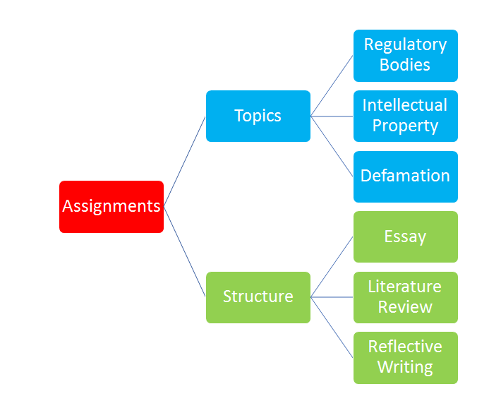 Structure of Communication Law Assignment