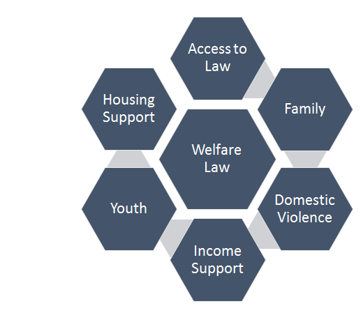 Welfare Law Assignment Help