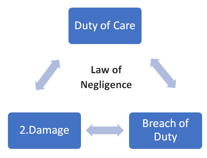Write a Negligence Law Assignment