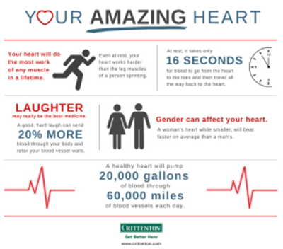 Your Amazing Heart